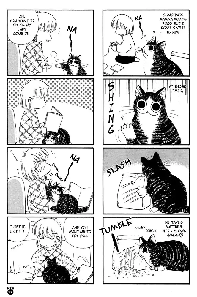 Honjitsu no Neko Jijou Chapter 6 6